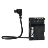 DJIronin RS2 to BLF19 GH5s GH5 GH4 power cable