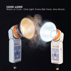 30W LED light showing 2500K warm vs 6500K cool color temperature