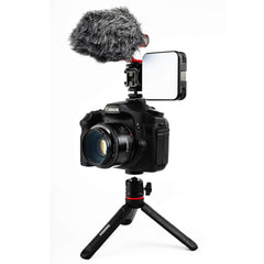 on-camera microphone with a video light on top of the camera, vlogging