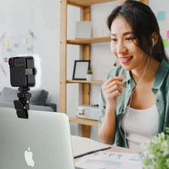 Video light monitor mount